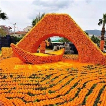 PORTAKAL ÇİÇEĞİ FESTİVALİ (1 GECE KONAKLAMALI)